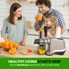 Eurolox Slow Masticating Juicer – Cold Press Machine for High-Yield