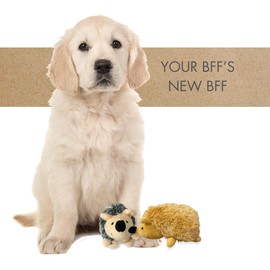 BEARPAW Hedgehog Dog Toy with Squeaker - Plush Toys for Dogs Multipack - for Play and Anxiety Relief