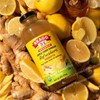 Bragg Applee Cider Vinegar - Ginger Lemon Honey 16 fl