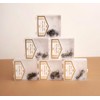 WL Wonder Lashes, Ready-to-Use Eyelash Fans 5D for Professional, 0.07,