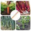 Spacer Tool Seeder Planting Ruler - Seeding Spacing Ruler with