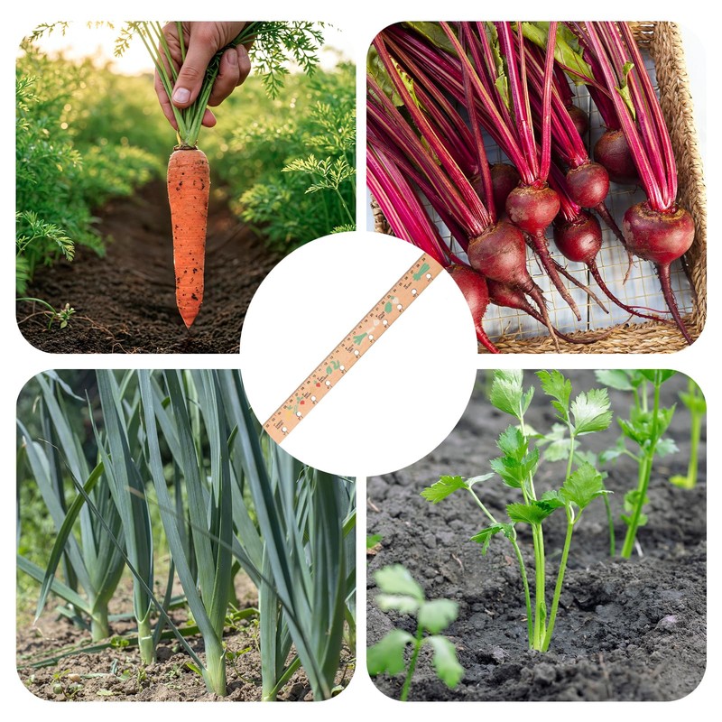 Spacer Tool Seeder Planting Ruler - Seeding Spacing Ruler with
