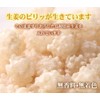 Ginger Konpeito Sugar 1.4 oz (40 g) x 2 Bag