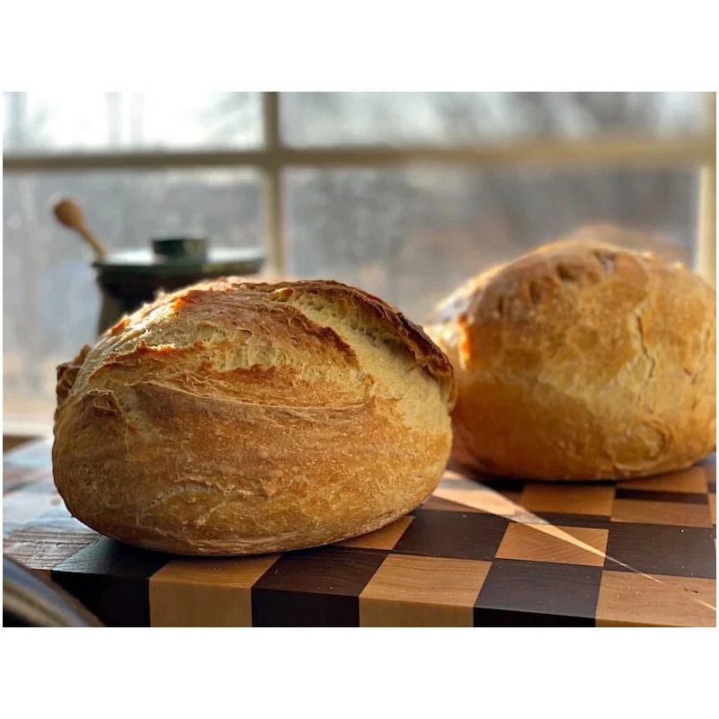 Heritage Sour SOURDOUGH STARTER DEHYDRATED 3rd Generation ITALIAN - 15