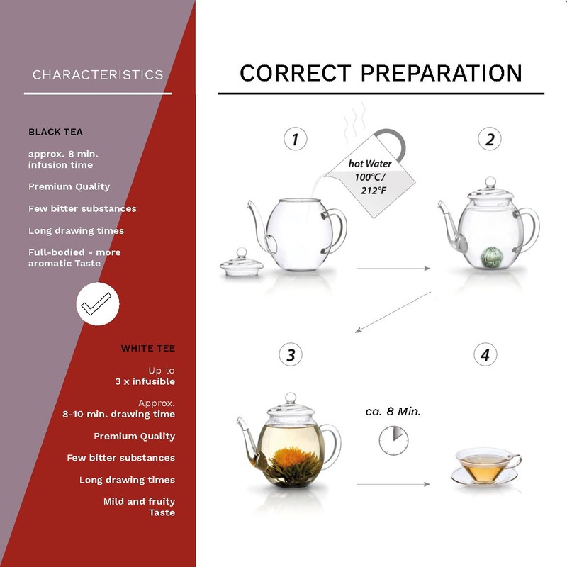 Creano Blooming Tea Gift Set with Glass Pot 17oz/500ml with
