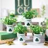St Patricks Day Decorations-4pcs St.Patrick's Day Mini Jars with Artificial