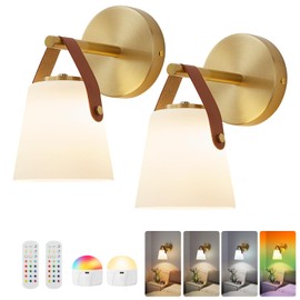 Weaboopre Battery Operated Frosted Glass Wall Sconces Set of Two, Rechargeable Wall Lamp 3 Color Temp & 12 RGB Colors Wireless Battery Powered for Bedroom Living Room with Remote