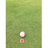 Unbranded Red Arrow Alignment Golf Ball Marker - Metal with