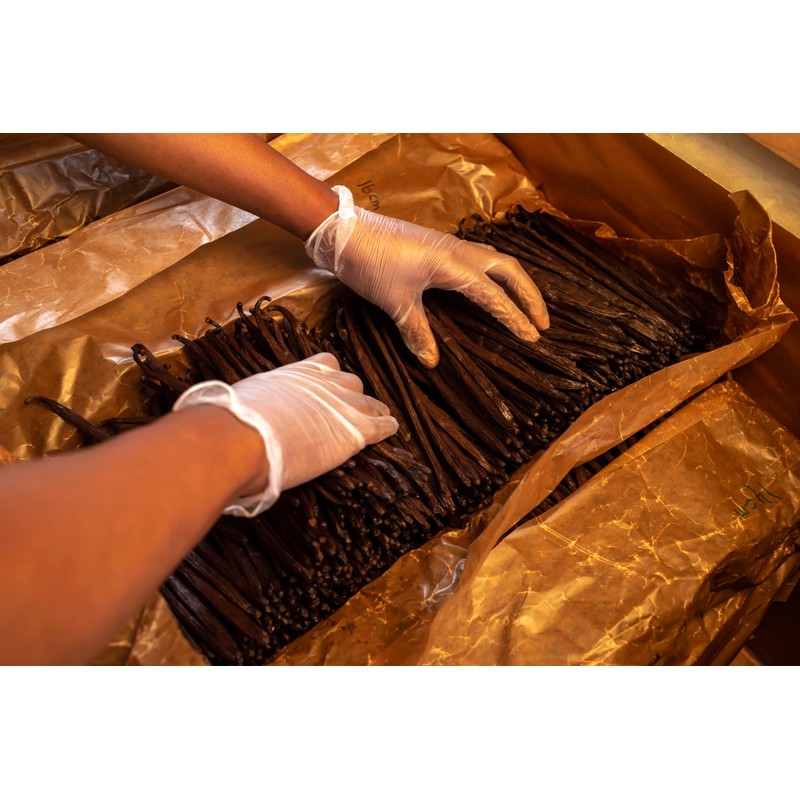 50 Split Vanilla Beans - Intense Ugandan Vanilla Beans 5-7