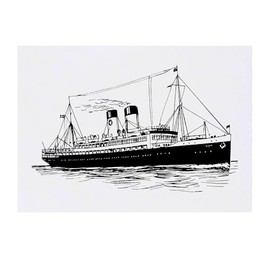 'Cruise Ship' Temporary Tattoo - Water Resistant, Skin-Safe, Non-Toxic Transfer (TO00075535)