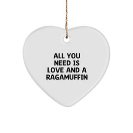 Ragamuffin Cat Heart Ornament, Gifts from Men, Heartfelt Inspirations for Ragamuffin Cat Lovers - Christmas Unique Gifts