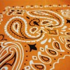 Studio Plus Large Bandana, 25.6 x 25.6 inches (65 x