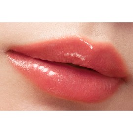 kiss Lip Armor X 06 Greedy Sangria Vivid but Easy to Use Orange Beige 0.2 oz (5 g) Tint Glossy