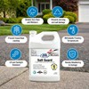 Rain Guard Water Sealers SP-1006 Salt Guard 1 Gallon- Clear