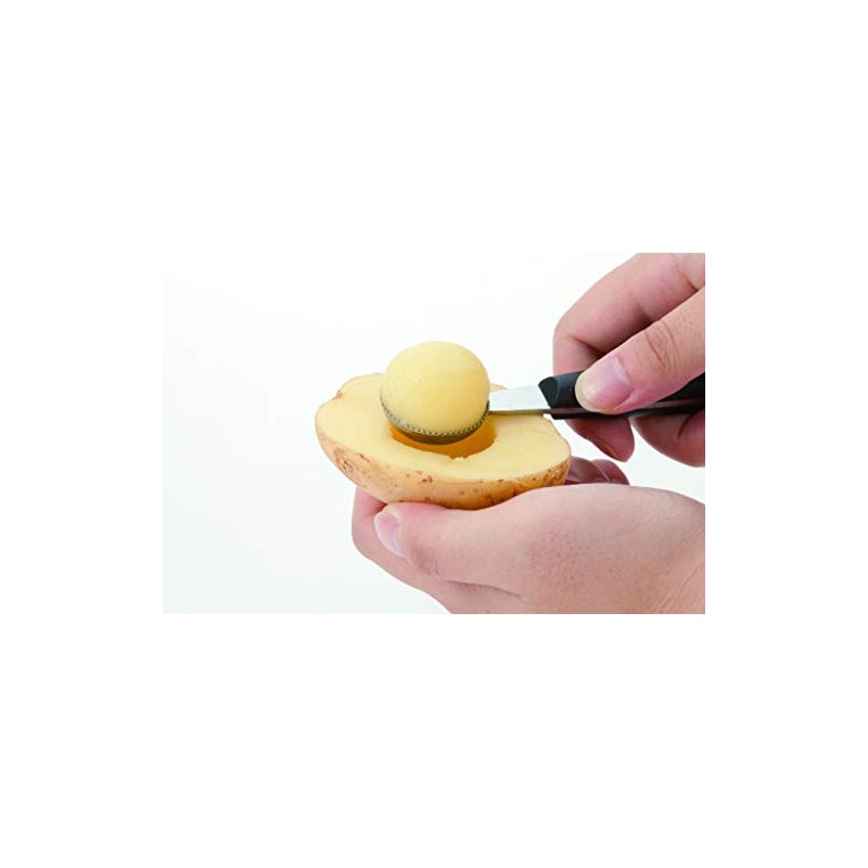 Endoshoji TKG Professional Kitchen Tools BKTI001 Tomato Shark, Nylon, Handle,