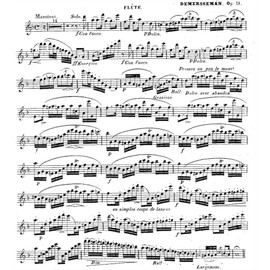 CafePress Flute Solo Pillow Case Standard Size Pillowcase, Lumbar Pillow Cover Microfiber