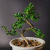 PATIKIL 2mm Bonsai Training Wire, 1 Roll Floral Wire Stems