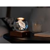 Gingko Walnut Wood LAMP - Amber Crystal Design, Kingfisher