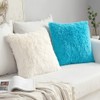 MIULEE Pack of 2 Luxury Faux Fur Fluffy Throw Pillow