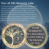 LParkin 24 Hours, 1/2 YearSobriety Chip, Tree of Life Recovery