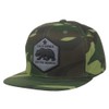 Top Level Trendy Flat Bill California Republic Bear Logo Snapback