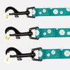 CollarDirect Floral Dog Leash Nylon Pattern Flower Print Adjustable Pet