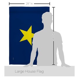 Republic of Texas (1836–1839) House Flag - Americana US Historic July Memorial Veteran Independence United State American - Decoration Banner Small Garden Yard Gift Double-Sided Made in USA 28 X 40