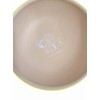 Marimo Craft Round Plate S YE Drawing SN&WS Diameter 5.9