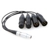 ZBLZGP Audio Breakout Input Output Cable 10 Pin Male to