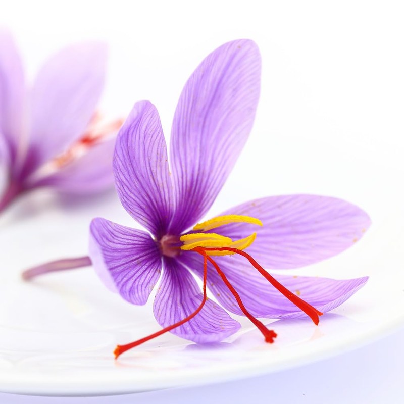 Carmencita. Saffron powder. Envelope. 0.4g (0.014oz)