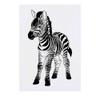 'Zebra Foal' Temporary Tattoo - Water Resistant, Skin-Safe, Non-Toxic Transfer