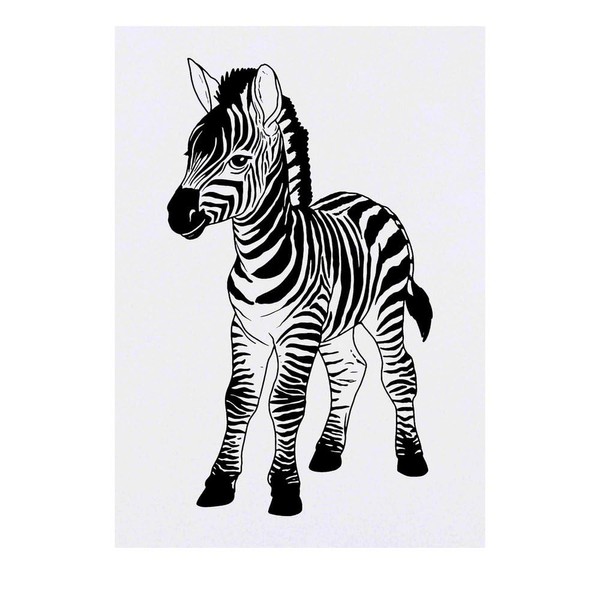 'Zebra Foal' Temporary Tattoo - Water Resistant, Skin-Safe, Non-Toxic Transfer