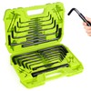 FASTPRO 32-Piece Allen Wrench Set with Storage Case, Standard SAE