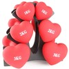 Panda Shop KINOKINO Dumbbell Rack Compact Tree 3-Tier Holder Black