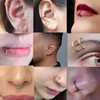 PIERCINGFUN Women Men G23 Titanium Hinged Piercing Nose Rings Hoop