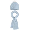 Little Girls Flower Applique Angora Blend Knit Hat/Scarf Set (1-Small,
