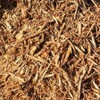 Invert Labs 2lb Pounds Cypress Tank Mulch Forest Floor Terrariums Etc 100% Natural Organic