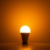 Norb Bug Lite - Bug-Reducing LED Light Bulb, Anti-Bug Outdoor