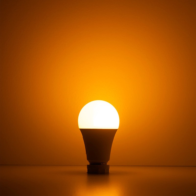Norb Bug Lite - Bug-Reducing LED Light Bulb, Anti-Bug Outdoor