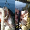 Señuelos De Pesca Para Lubina, Kit De Herramientas De Pesca