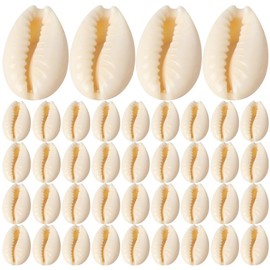 COHEALI 100pcs DIY Shell Beads for Crafting Versatile Materials for Home Decoration Jewelry Making DIY Projects for Bracelets Necklaces Earrings and More