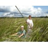 Pietron Family 1 lb. Wild Rice Minnesota Hand Harvested Wood