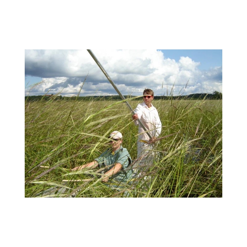 Pietron Family 1 lb. Wild Rice Minnesota Hand Harvested Wood