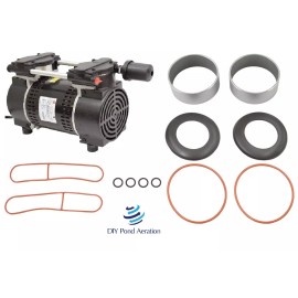 GAST Rebuild/Servic