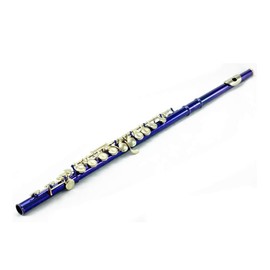 Sky Closed Hole C Flute with Lightweight Case, Cleaning Rod, Cloth, Joint Grease and Screw Driver (Blue/Gold Closed Hole)