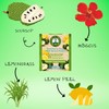 Dr. Tea Wellness Soursop Herbal Tea with Lemon Flavor -