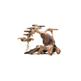 SubstrateSource Aquarium Bonsai Tree Driftwood Small (200S)