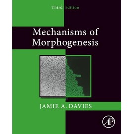 Mechanisms of Morphogenesis