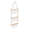 3 Tiered Wall Hanging Plant Terrarium with 12 Test Tubes