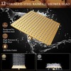 Beekim 12'' Shower Head with Handheld, High Pressure Rainfall Shower